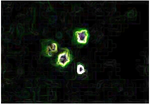 Triangle Craft Yorks 1999